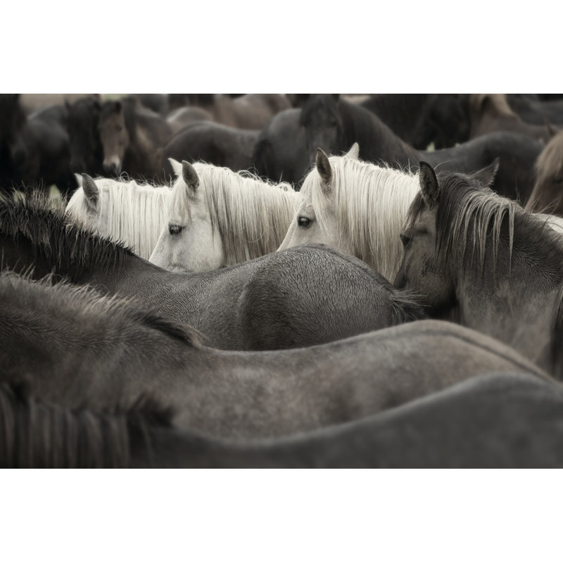 Chevaux blancs, H 24 po x l 36 po x P 1,25 po