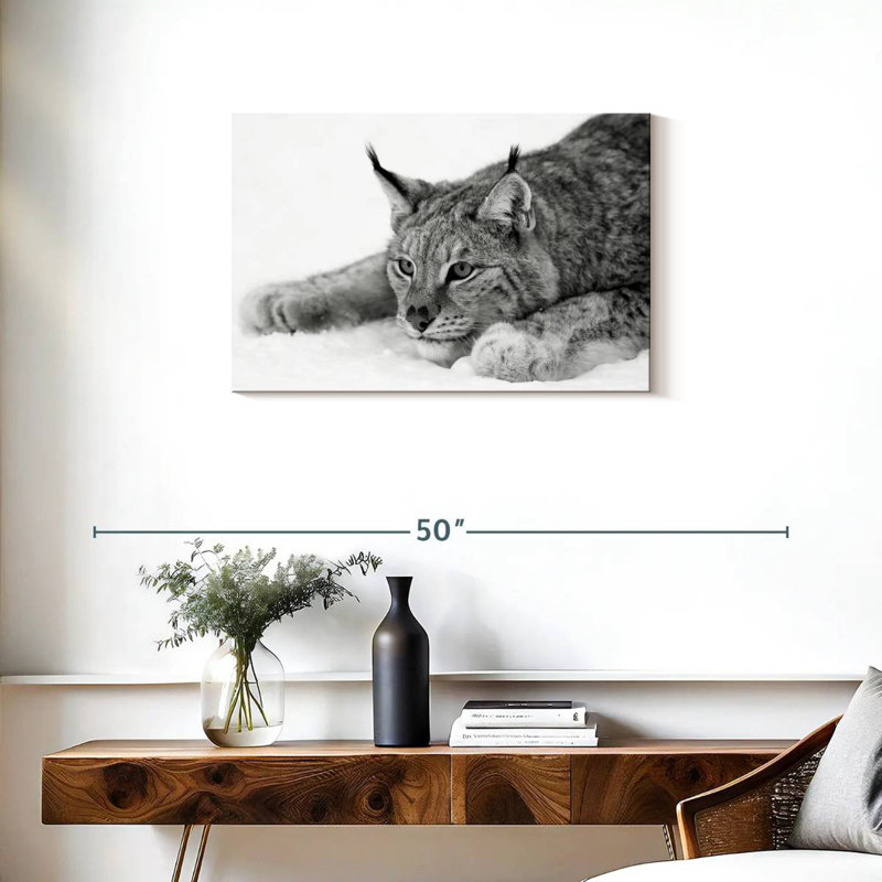 Brampt Lynx BW, 20" H x 30" W