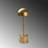 Desk Lamp-959347441