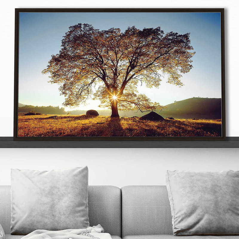 Chêne noir au coucher du soleil par Danita Delimont - photographie, H 21,5 po x l 33,5 po x P 2 po, Cadre flottant espresso