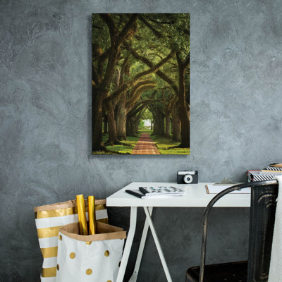  «Live Oaks In The Morning Light» par Martin Podt, art mural sur toile, 18 po x 26 po