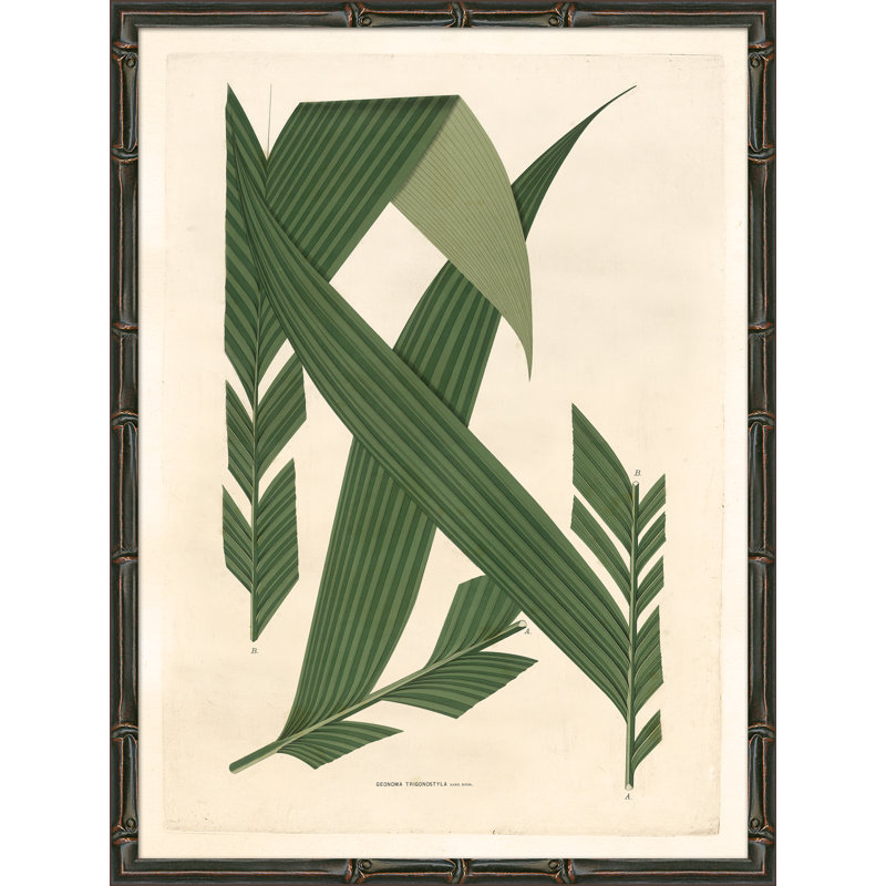 Palm Fronds Giclee Print by Soicher Marin Archives