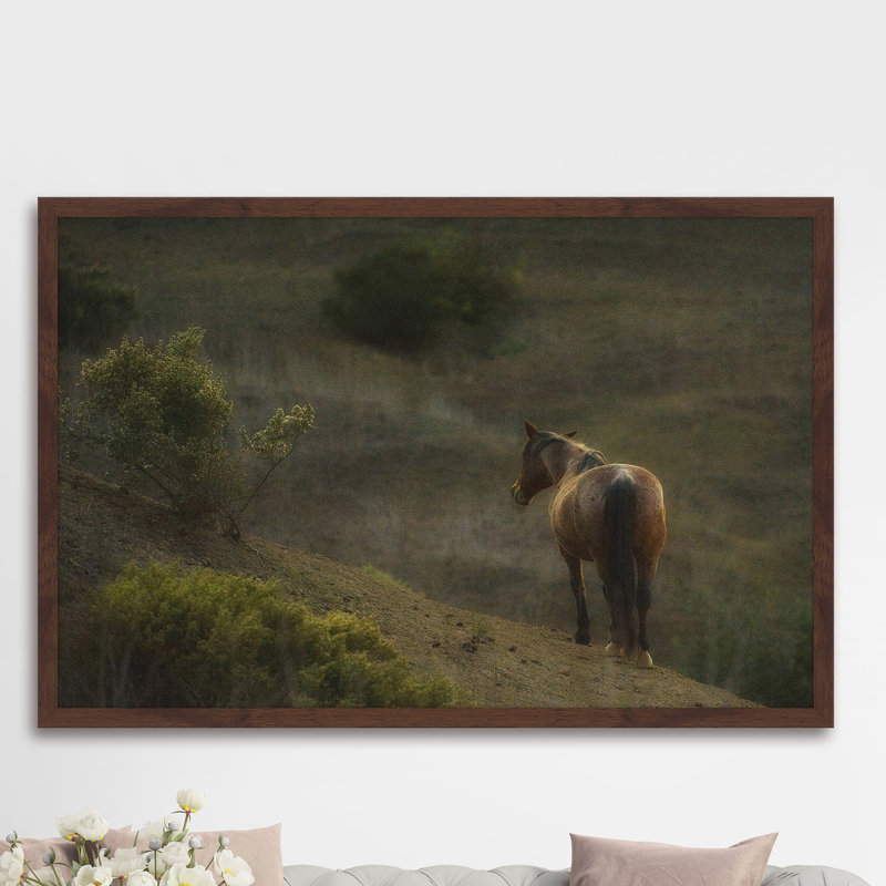 "Mustang at Dusk" Framed Print, 24" H x 36" W x 1.5" D