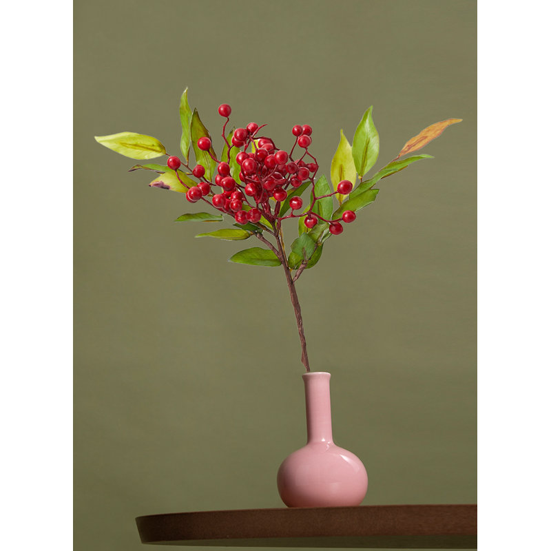 Cueillette de baies rouges et de feuilles vertes Primrue, paquet de 12