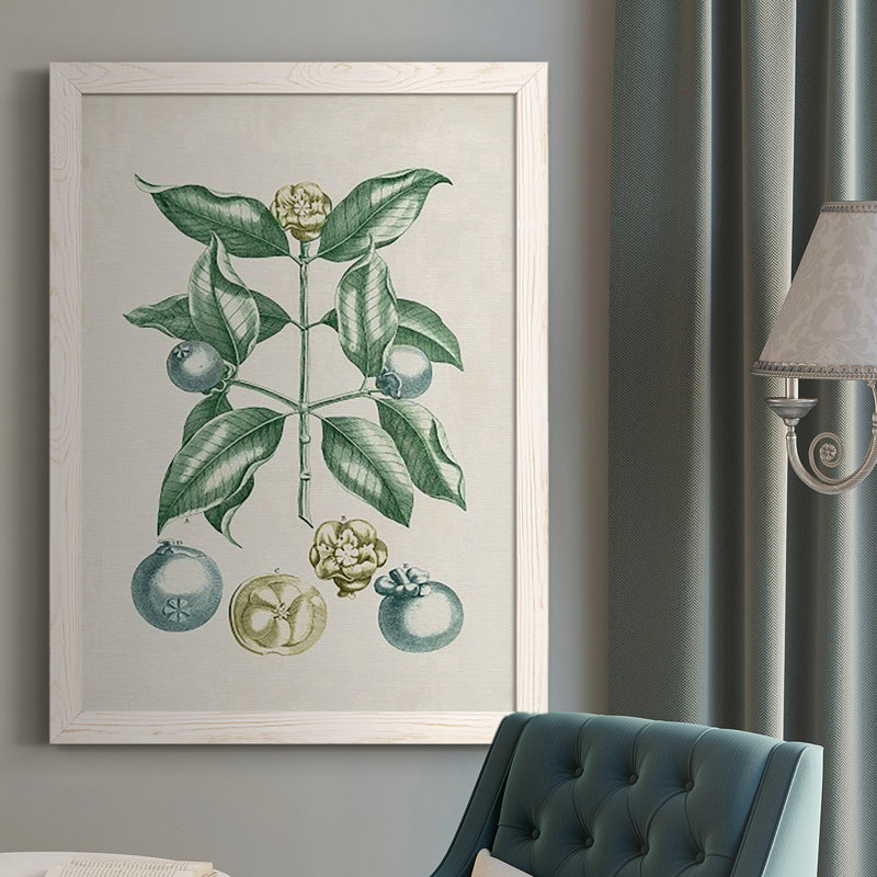 «Buchoz Tropicals VII», reproduction d'art sur toile simple, Blanc, H 37,5 po x l 27,5 po x P 1 po