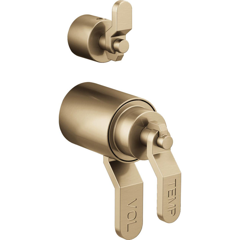 Litze® Shower Integrated Valve with Handles, Industrial Lever, Luxe Gold