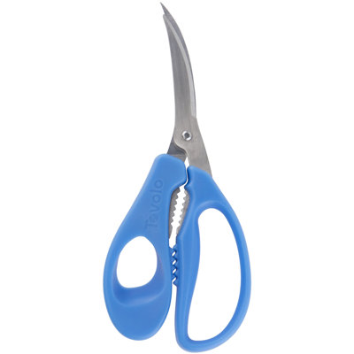Spectrum Scissor 3 in. Kitchen Shears & Scissors
