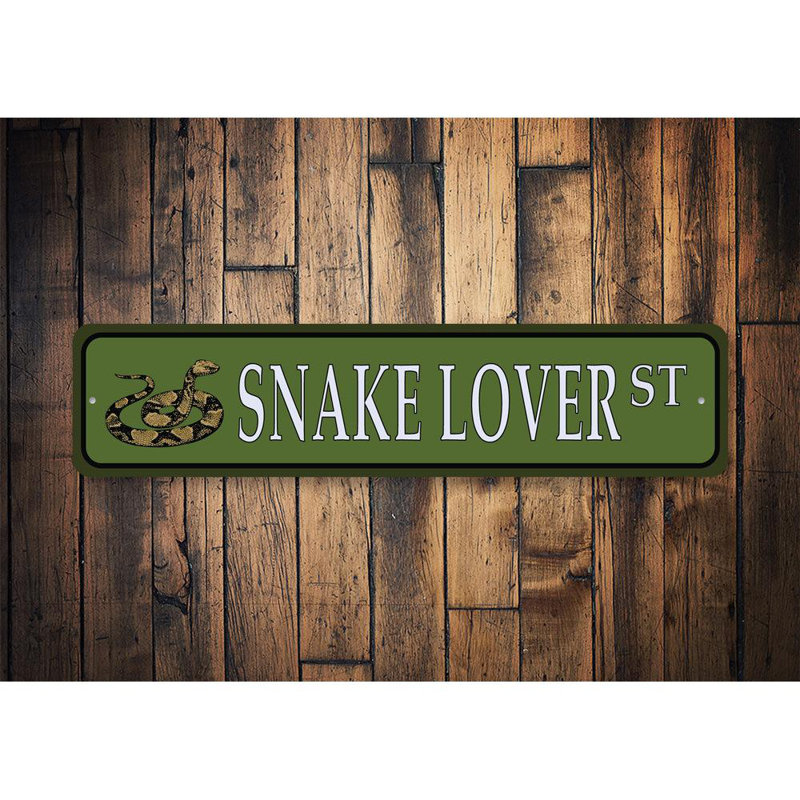 Plaque en aluminium Snake Street, H 6 po x l 24 po x P 0,06 po