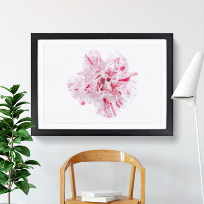 Striking White & Pink Carnation - Picture Frame Graphic Art