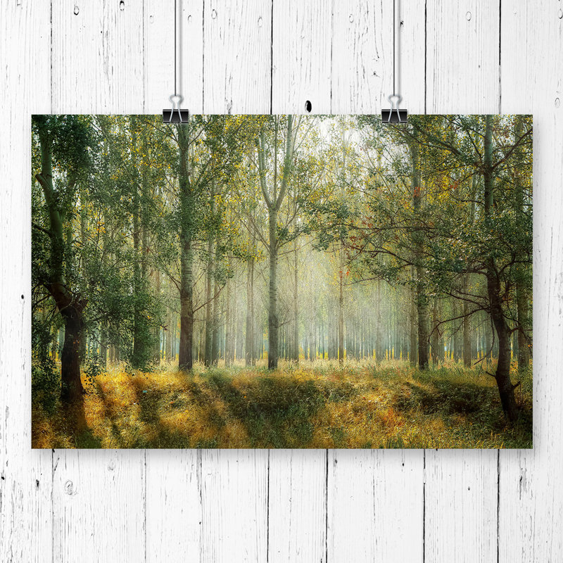 No Frame Print, 59.4cm H x 84.1cm W
