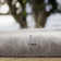 Perrusquia Washable Indoor Rug