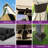 10 pi. L 12 pi. D Pavillon de jardin en acier