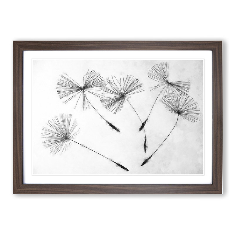 Dandelion Seeds Vol.2 - Picture Frame Graphic Art, Walnut Framed, 36cm H x 48cm W x 2cm D