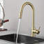 Belfry Kitchen Pull Out Kitchen Faucet