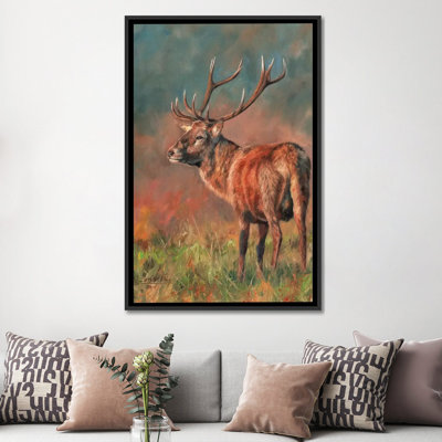" Red Deer Stag Evening Light " by David Stribbling