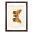 Walnut Framed