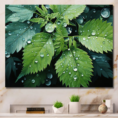 " Ferns Plant Gossamer Veil I "