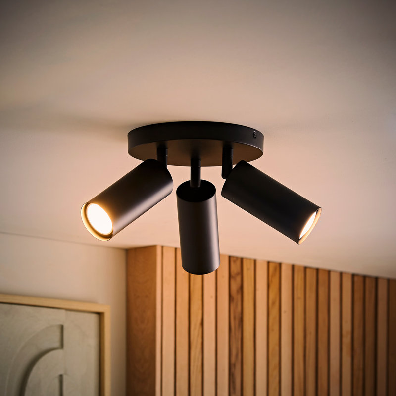 Taylor  Tube Single Adjustable Ceiling Spotlight, 3, Black