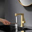 Robinet de lavabo de salle de bain monocorps à poignée simple avec ensemble de drain optionnel-117317728-93564629