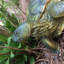 Statue de jardin grande tortue Call of the Wild