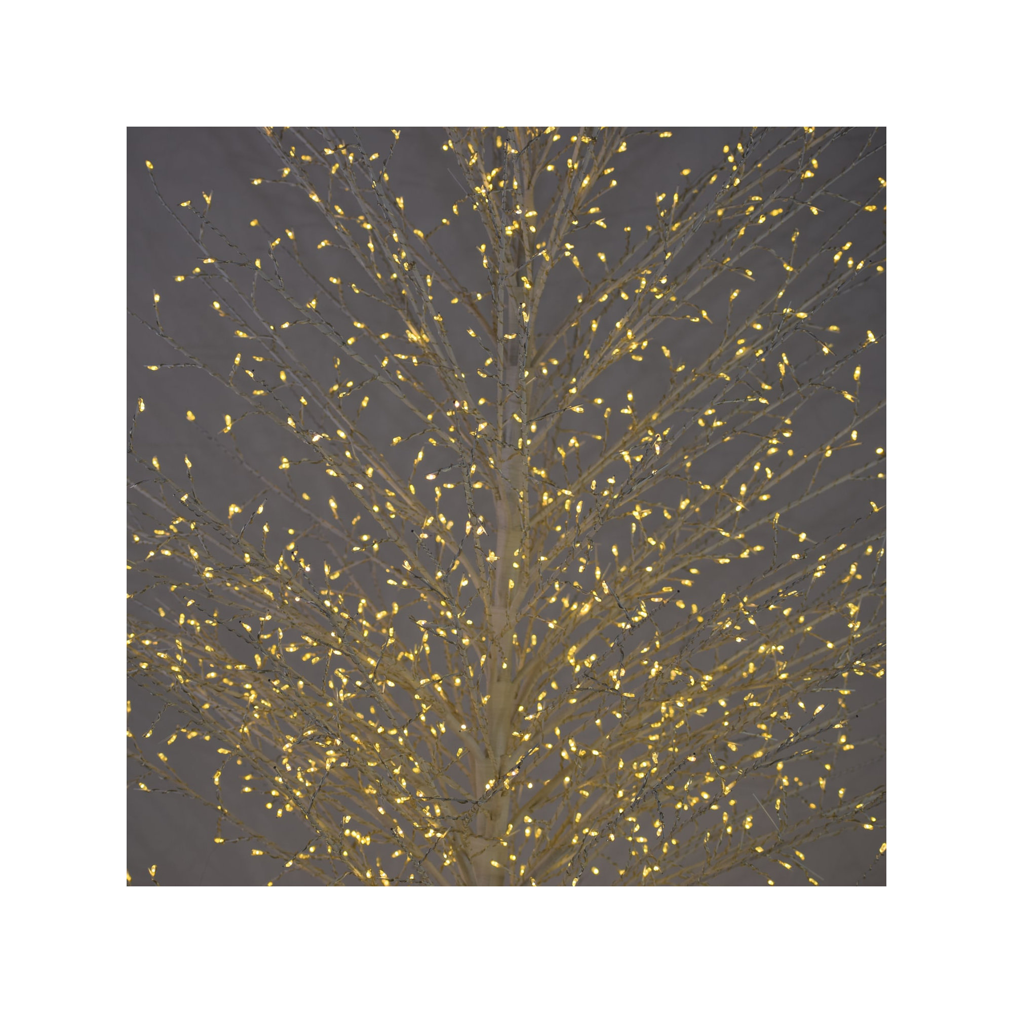 Birch Tree with Warm White LED Lights, 82" H x 19.2" L x 19.2" D, White