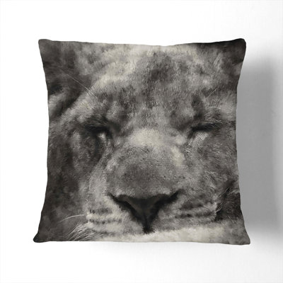 Square Cushion