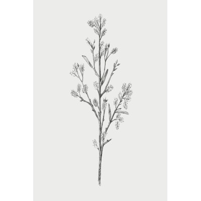 Wild Stem II by Annie Warren - Graphic Art Print