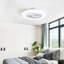 Ceiling Fan with LED Lights