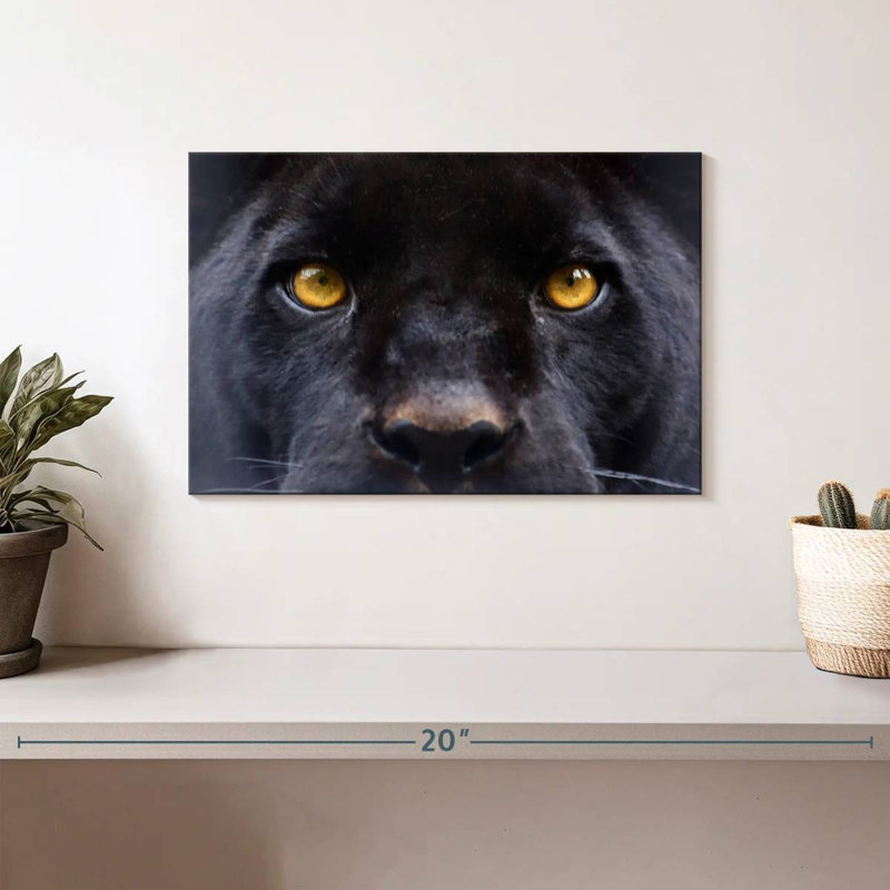 Brampt Panther Eyes, 8" H x 12" W