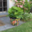 Handmade Ceramic Planter-1052314581