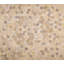 Angulo Cowhide Geometric Area Rug in Cream-1277670226