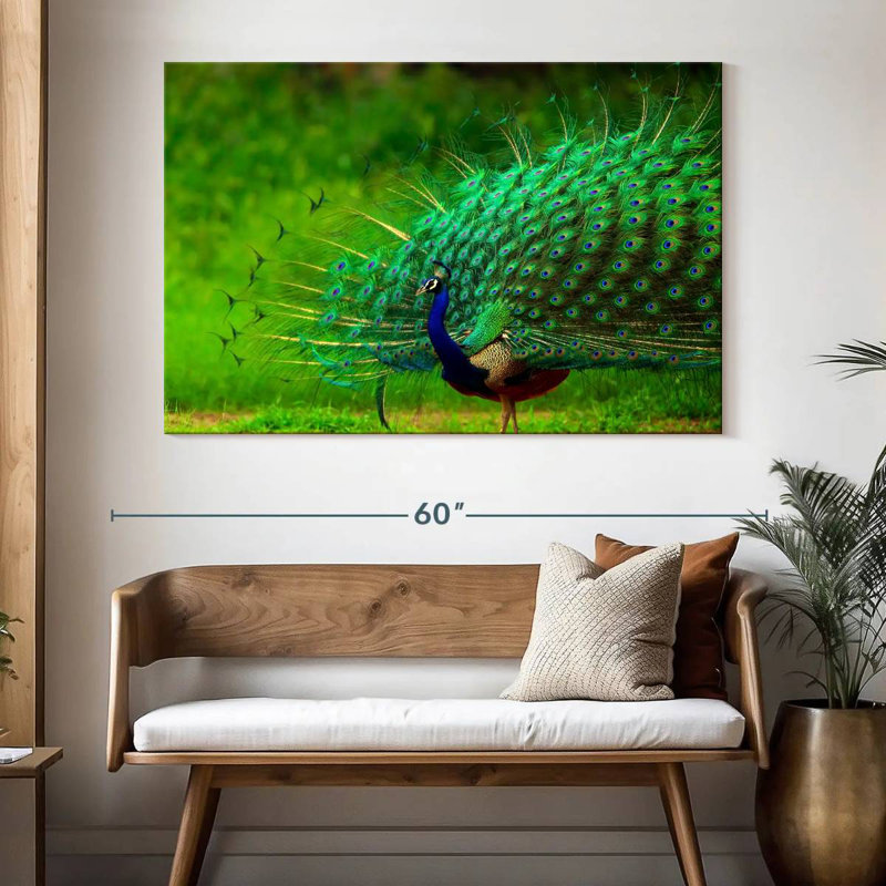 Plumage bleu paon bleu brillant, H 34 po x l 51 po