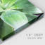Green Tropical Succulent IV - Photographie sur toile tendue-44344519
