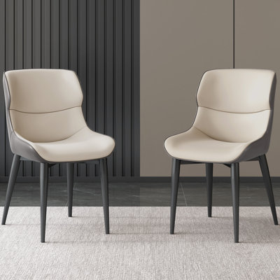 Abishan Modern Dining Chairs Set Of 2 ,2 Pieces Dining Room Chairs for Kitchen, Bar,Dining Room