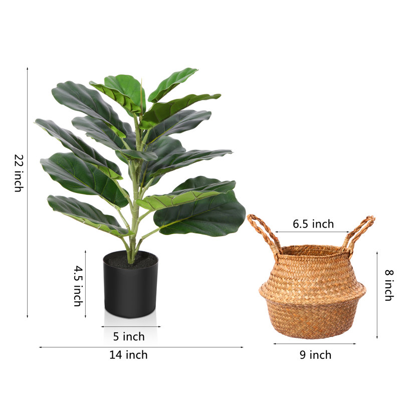 Figuier artificiel Adcock, plante dans un panier, plante verte, arbre artificiel, H 22 po x l 14 po x P 14 po