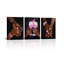 3 Piece Wrapped Canvas Print-873183990