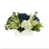 Dark Blue/White