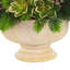 Holiday Centerpiece with Succulents and Pinecones