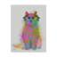 « arc ciel cat 3 full », reproduction d’impression sur toile tendue-33418797