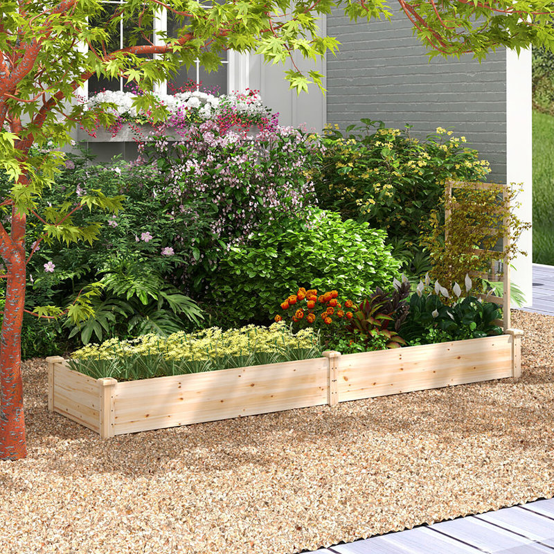 Arlmont & Co. Raised Garden Bed Wooden Planter Box With Divided Space For Outdoor Natural