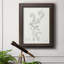 «Botanical Study in Sage II», reproduction d'art sur toile-480077638