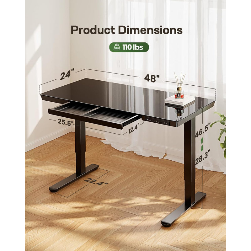 Mayeda Computer Desk, Black