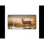 Polyester Desk Pad-825502466