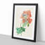 Poppy Flower by Pierre-Joseph Redoute - Picture Frame Painting Print-55601420-55601421