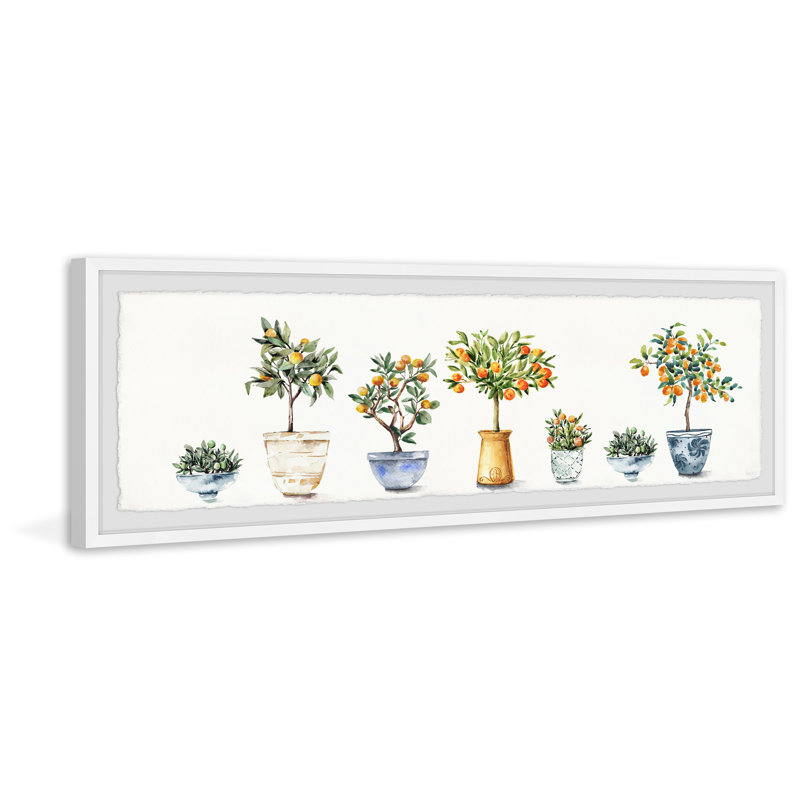 Container Gardening by Parvez Taj - Single Picture Frame Painting, 25cm H x 76cm W x 3.81cm D