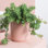 Pot à fleurs en céramique Parsons
