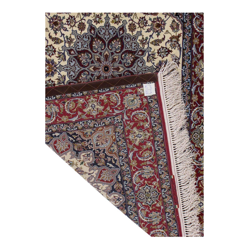 Mehinder Oriental Area Rug in Ivory