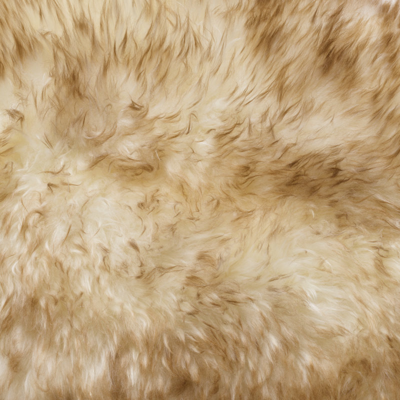 Solid Colour Sheepskin Shag 60cm X 80cm Area Rug