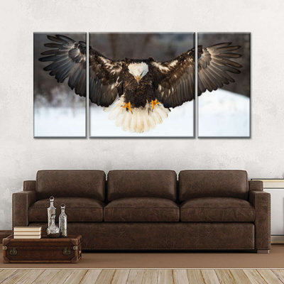 Aigle à tête blanche - 3 pièces sur toile tendue
