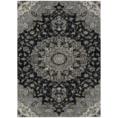 Machine Washable Indoor/Outdoor Chantille ACN2495 Global Rug